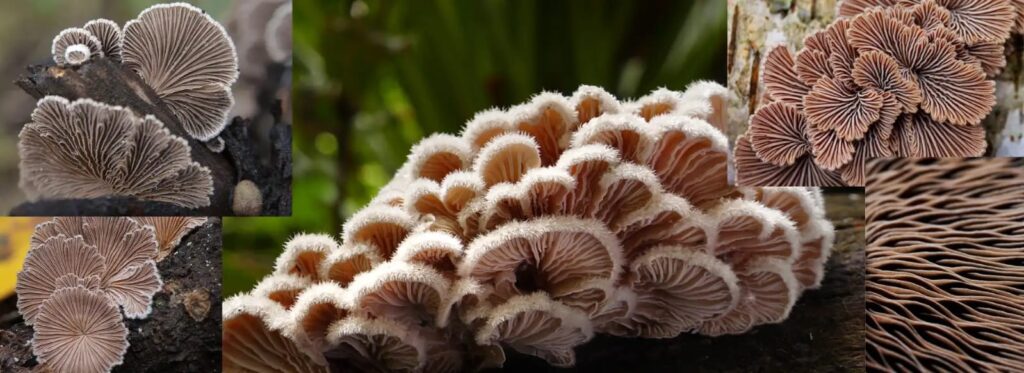 whatsapp image 2025 08 14 at 21.12.13 4848ad41