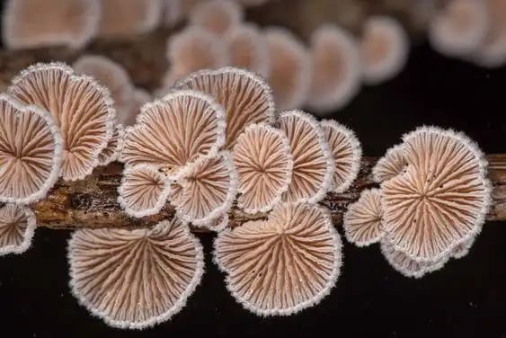 whatsapp image 2025 08 14 at 22.00.46 85b80793