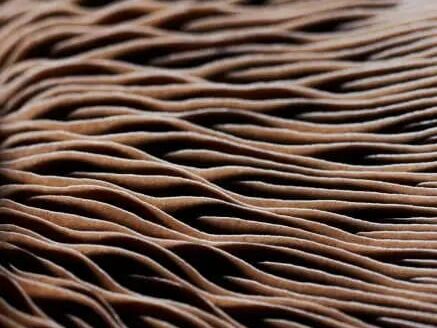 whatsapp image 2025 08 14 at 22.03.33 ff0c9415